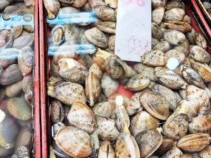 Sai Ying Pun Market, Clams