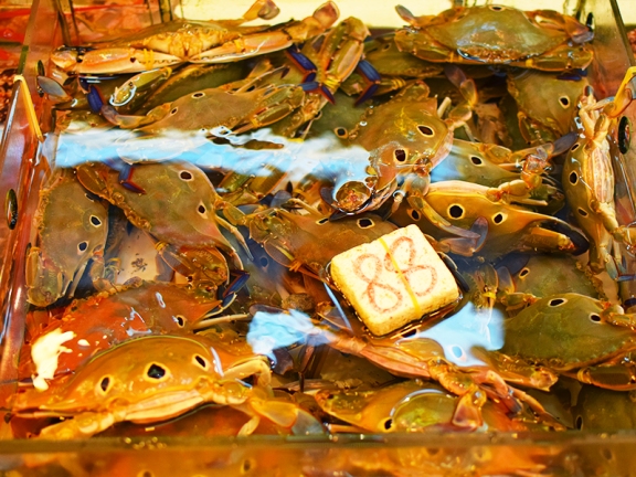 Sai Ying Pun Market, Crabs2