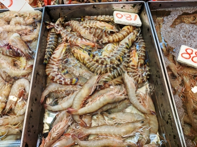 Sai Ying Pun Market, Shrimp2