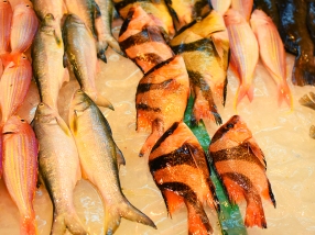 Sai Ying Pun Market, Whole fish3
