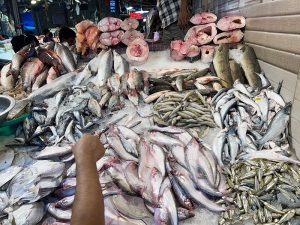 A Lot of Fish and Some Vegetables at Chittaranjan Park Market