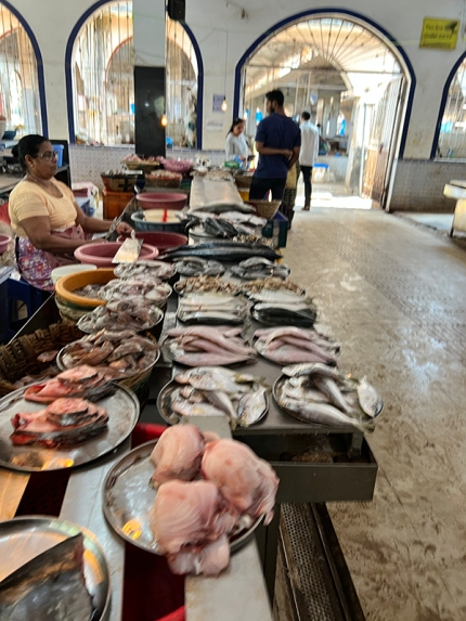 Margao Fish Market, Various blurry fish